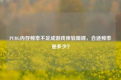PUBG内存频率不足成游戏体验阻碍,合适频率是多少?