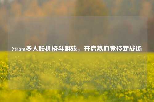 Steam多人联机格斗游戏,开启热血竞技新战场