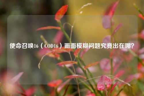 使命召唤16（COD16）画面模糊问题究竟出在哪？