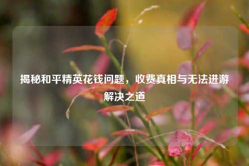 揭秘和平精英花钱问题,收费真相与无法进游解决之道
