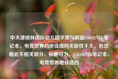 中天津格林国际幼儿园学费与前面CSGO2与K笔记本,电竞世界的绝佳搭档关联性不大,若忽略此不相关部分,标题可为,CSGO2与K笔记本,电竞世界绝佳搭档