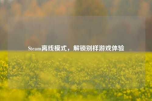 Steam离线模式，解锁别样游戏体验