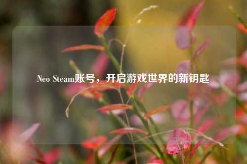 Neo Steam账号，开启游戏世界的新钥匙