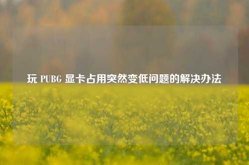 玩 PUBG 显卡占用突然变低问题的解决办法
