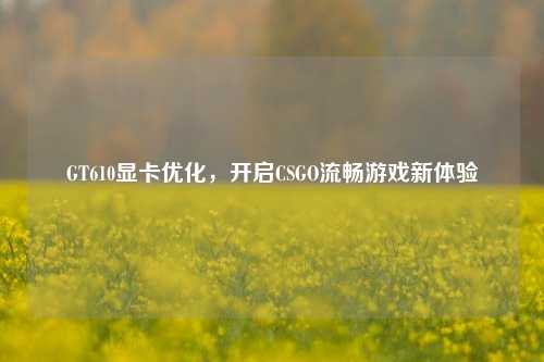 GT610显卡优化，开启CSGO流畅游戏新体验