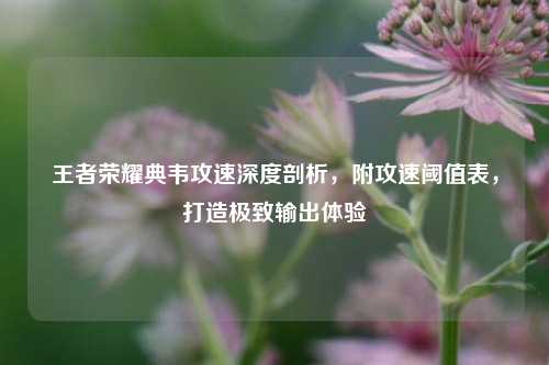 王者荣耀典韦攻速深度剖析,附攻速阈值表,打造极致输出体验