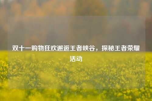 双十一购物狂欢邂逅王者峡谷,探秘王者荣耀活动