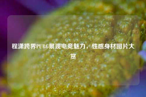 程潇跨界PUBG展现电竞魅力,性感身材图片大赏