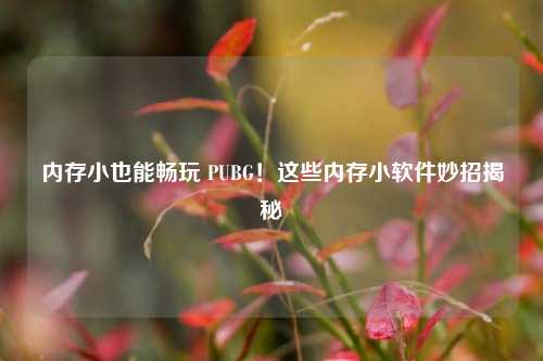 内存小也能畅玩 PUBG!这些内存小软件妙招揭秘