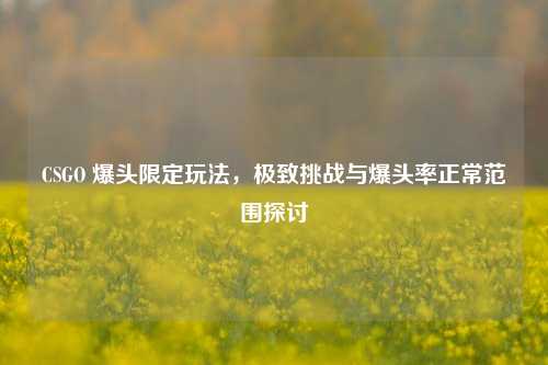CSGO 爆头限定玩法,极致挑战与爆头率正常范围探讨