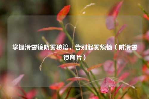 掌握滑雪镜防雾秘籍,告别起雾烦恼(附滑雪镜图片)