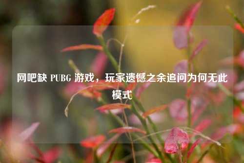 网吧缺 PUBG 游戏，玩家遗憾之余追问为何无此模式