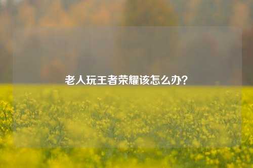 老人玩王者荣耀该怎么办?