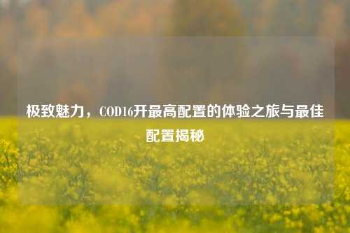 极致魅力,COD16开最高配置的体验之旅与最佳配置揭秘
