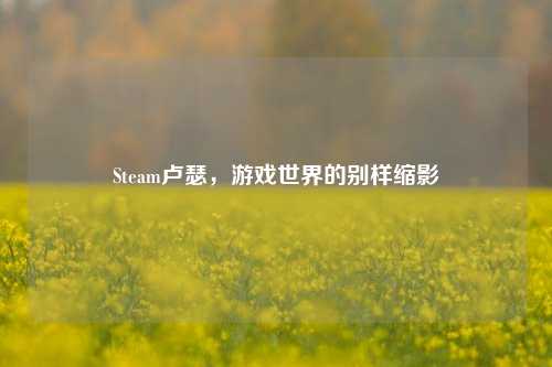Steam卢瑟,游戏世界的别样缩影