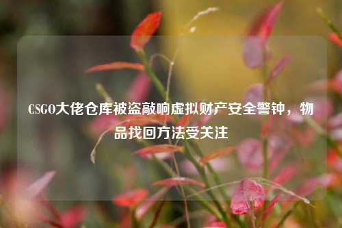 CSGO大佬仓库被盗敲响虚拟财产安全警钟,物品找回方法受关注