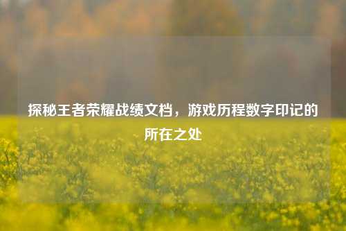 探秘王者荣耀战绩文档，游戏历程数字印记的所在之处