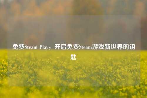 免费Steam Play,开启免费Steam游戏新世界的钥匙