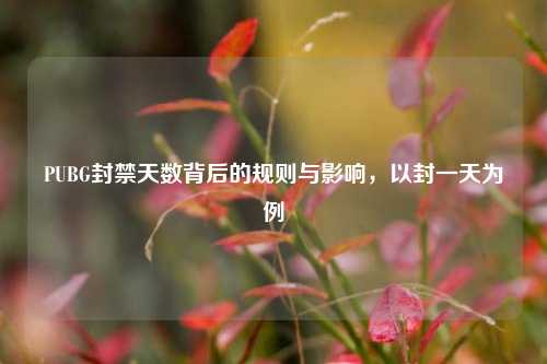 PUBG封禁天数背后的规则与影响,以封一天为例