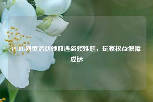 PUBG网页活动领取遇盗领难题,玩家权益保障成谜