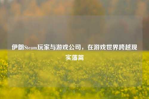 伊朗Steam玩家与游戏公司,在游戏世界跨越现实藩篱