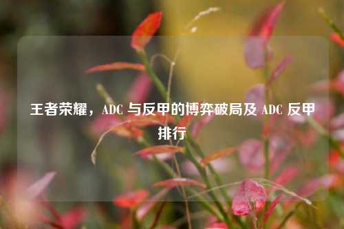 王者荣耀,ADC 与反甲的博弈破局及 ADC 反甲排行
