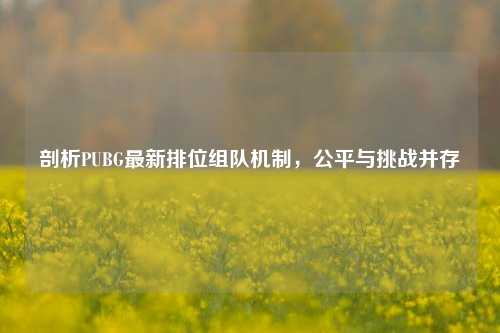 剖析PUBG最新排位组队机制,公平与挑战并存