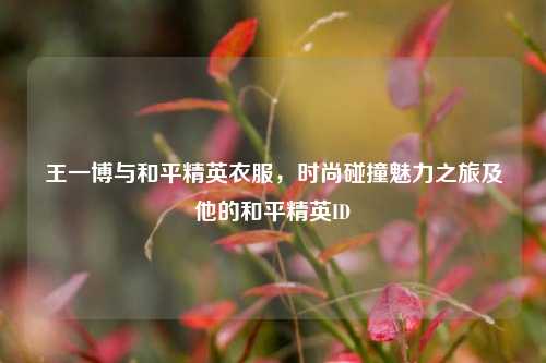 王一博与和平精英衣服，时尚碰撞魅力之旅及他的和平精英ID