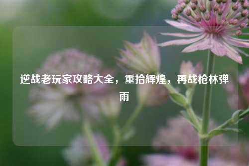 逆战老玩家攻略大全,重拾辉煌,再战枪林弹雨