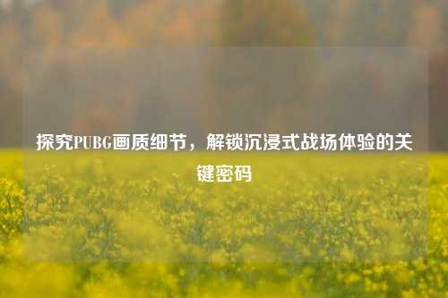 探究PUBG画质细节，解锁沉浸式战场体验的关键密码