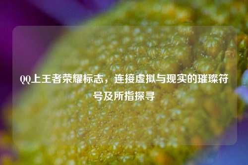 QQ上王者荣耀标志,连接虚拟与现实的璀璨符号及所指探寻
