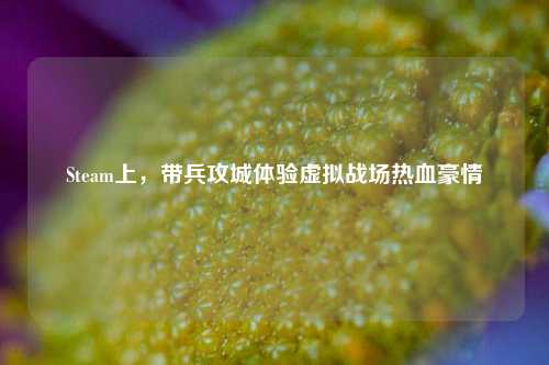 Steam上，带兵攻城体验虚拟战场热血豪情