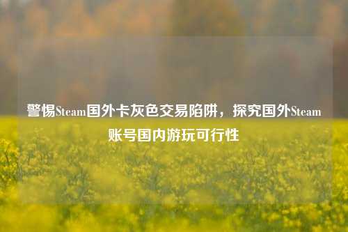 警惕Steam国外卡灰色交易陷阱,探究国外Steam账号国内游玩可行性