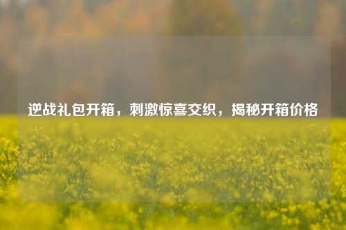 逆战礼包开箱,刺激惊喜交织,揭秘开箱价格