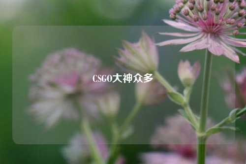 CSGO大神众多