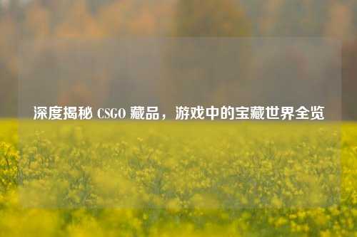 深度揭秘 CSGO 藏品，游戏中的宝藏世界全览