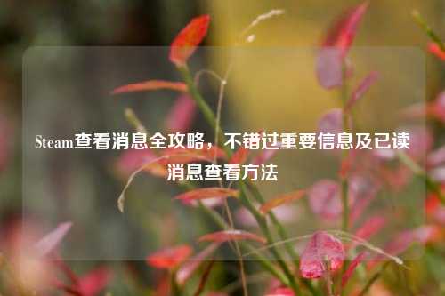 Steam查看消息全攻略,不错过重要信息及已读消息查看方法