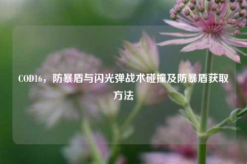 COD16，防暴盾与闪光弹战术碰撞及防暴盾获取方法