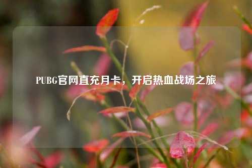PUBG官网直充月卡，开启热血战场之旅