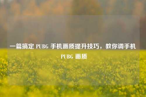 一篇搞定 PUBG 手机画质提升技巧,教你调手机 PUBG 画质