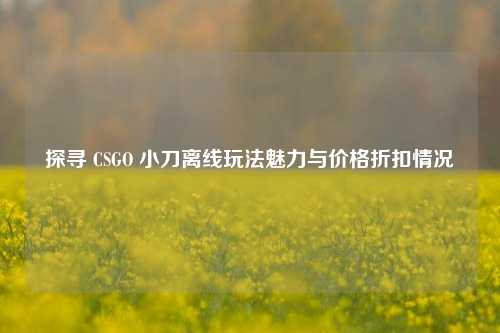 探寻 CSGO 小刀离线玩法魅力与价格折扣情况