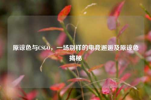 原谅色与CSGO，一场别样的电竞邂逅及原谅色揭秘