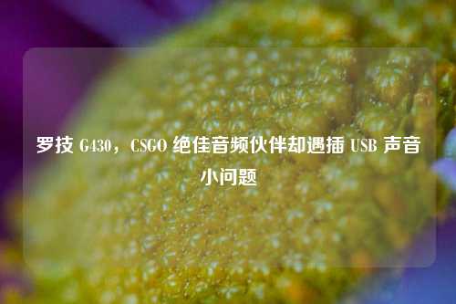 罗技 G430，CSGO 绝佳音频伙伴却遇插 USB 声音小问题