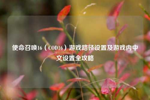 使命召唤16(COD16)游戏路径设置及游戏内中文设置全攻略