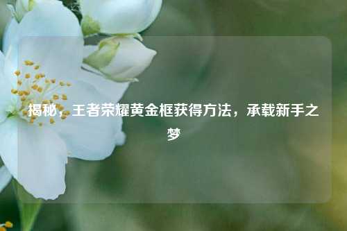 揭秘,王者荣耀黄金框获得方法,承载新手之梦