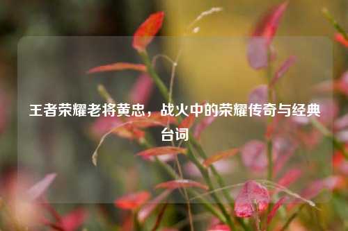 王者荣耀老将黄忠,战火中的荣耀传奇与经典台词