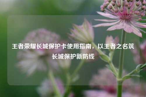 王者荣耀长城保护卡使用指南，以王者之名筑长城保护新防线