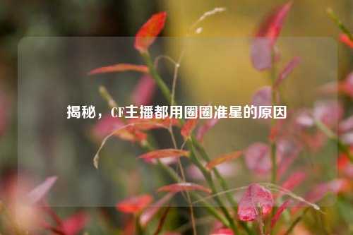 揭秘，CF主播都用圈圈准星的原因