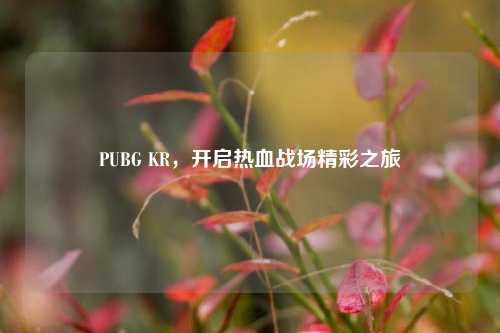 PUBG KR,开启热血战场精彩之旅