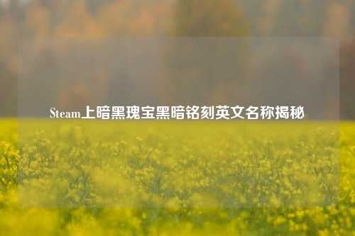 Steam上暗黑瑰宝黑暗铭刻英文名称揭秘